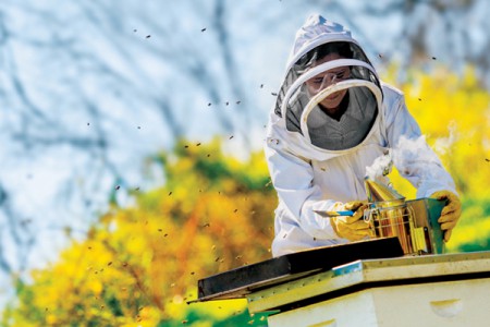 The Secret Life of Beekeepers