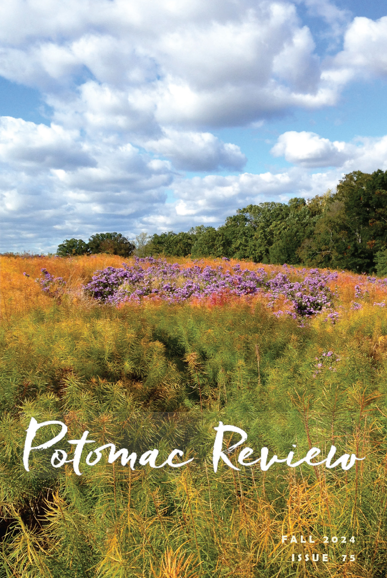 Potomac Review Issue 75 - Fall 2024