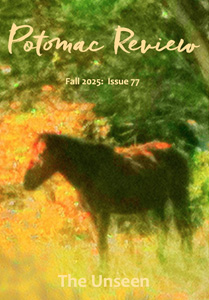 Potomac Review issue 77 Unseen
