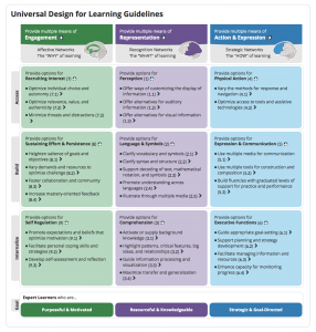 Universal Design for Learning Framework